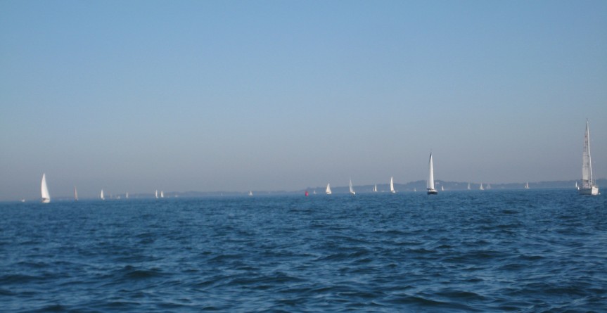 I don't think I've ever seen so many sailboats out at the same time, except for during a race.  