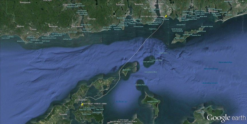 Big Pegu Club’s Survey and Trip to Her New&nbsp;Home