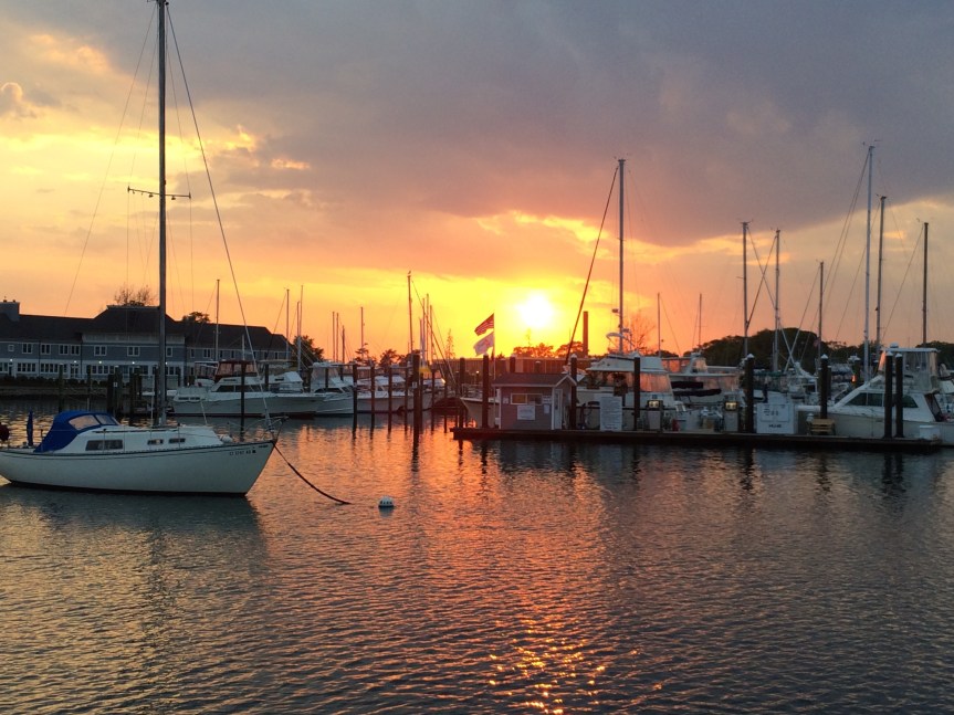 Finally!  A day with some decent&nbsp;wind.