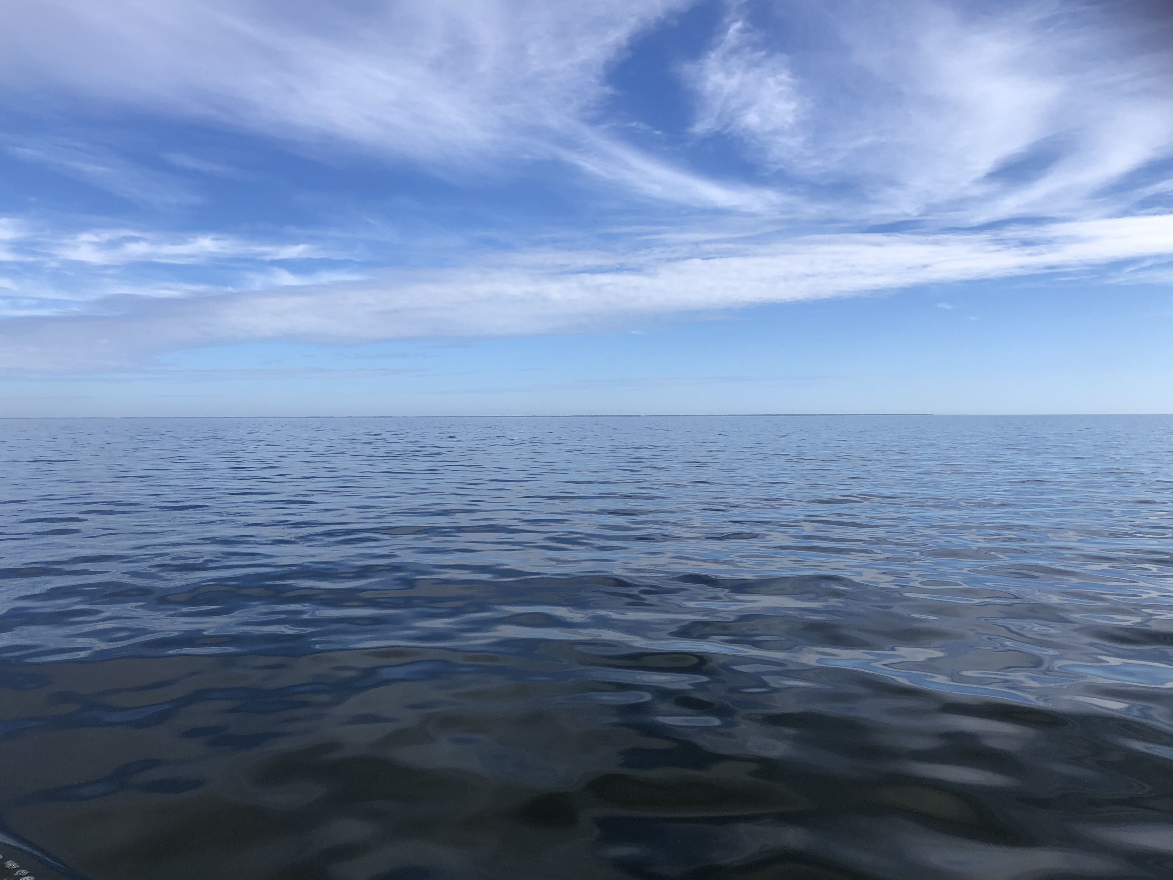 0B8DCEAF-BF33-42FB-894E-ED1471B97D10