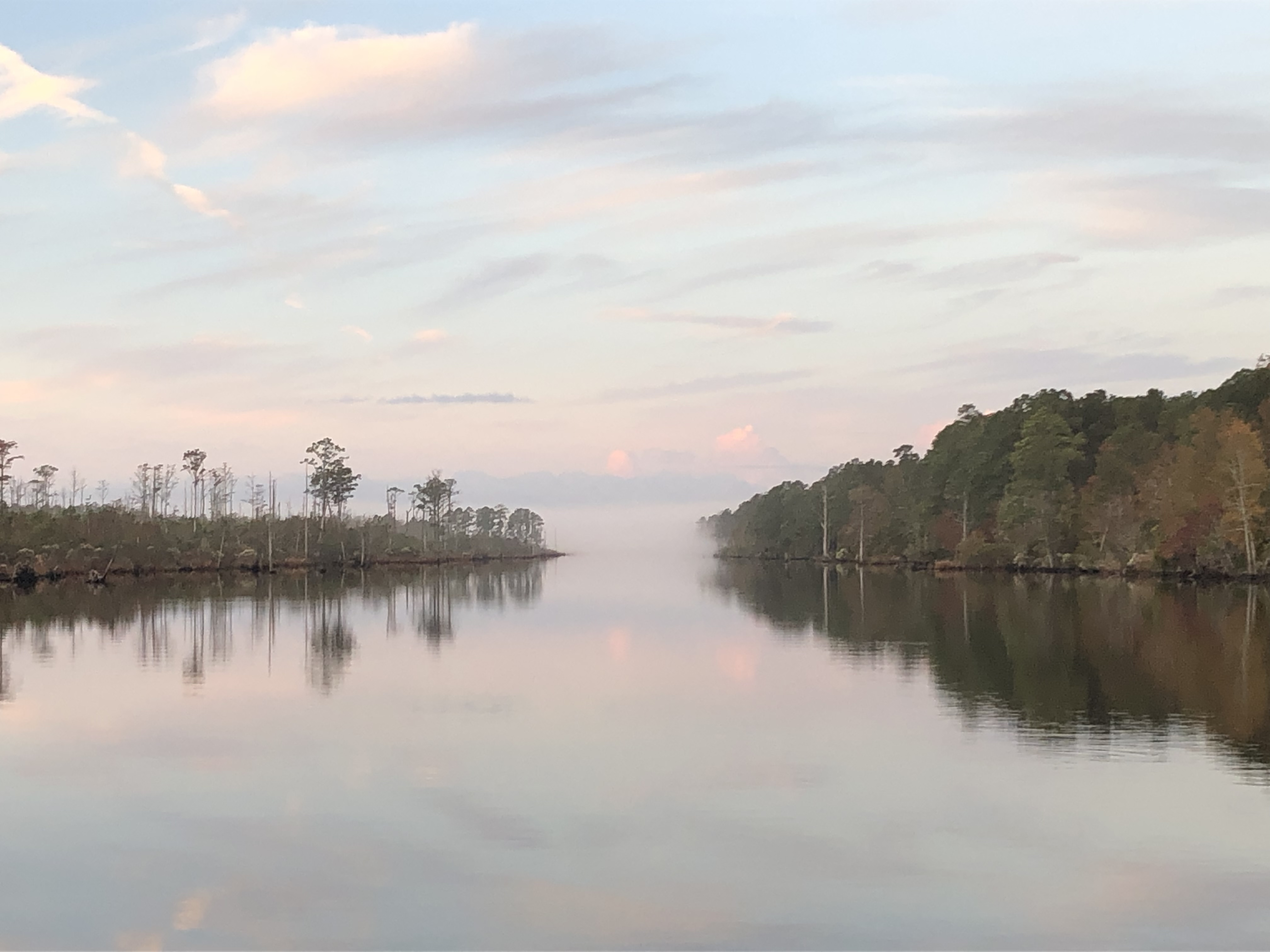 0DBF689D-7108-497C-B07E-C7FF57C5DD4B