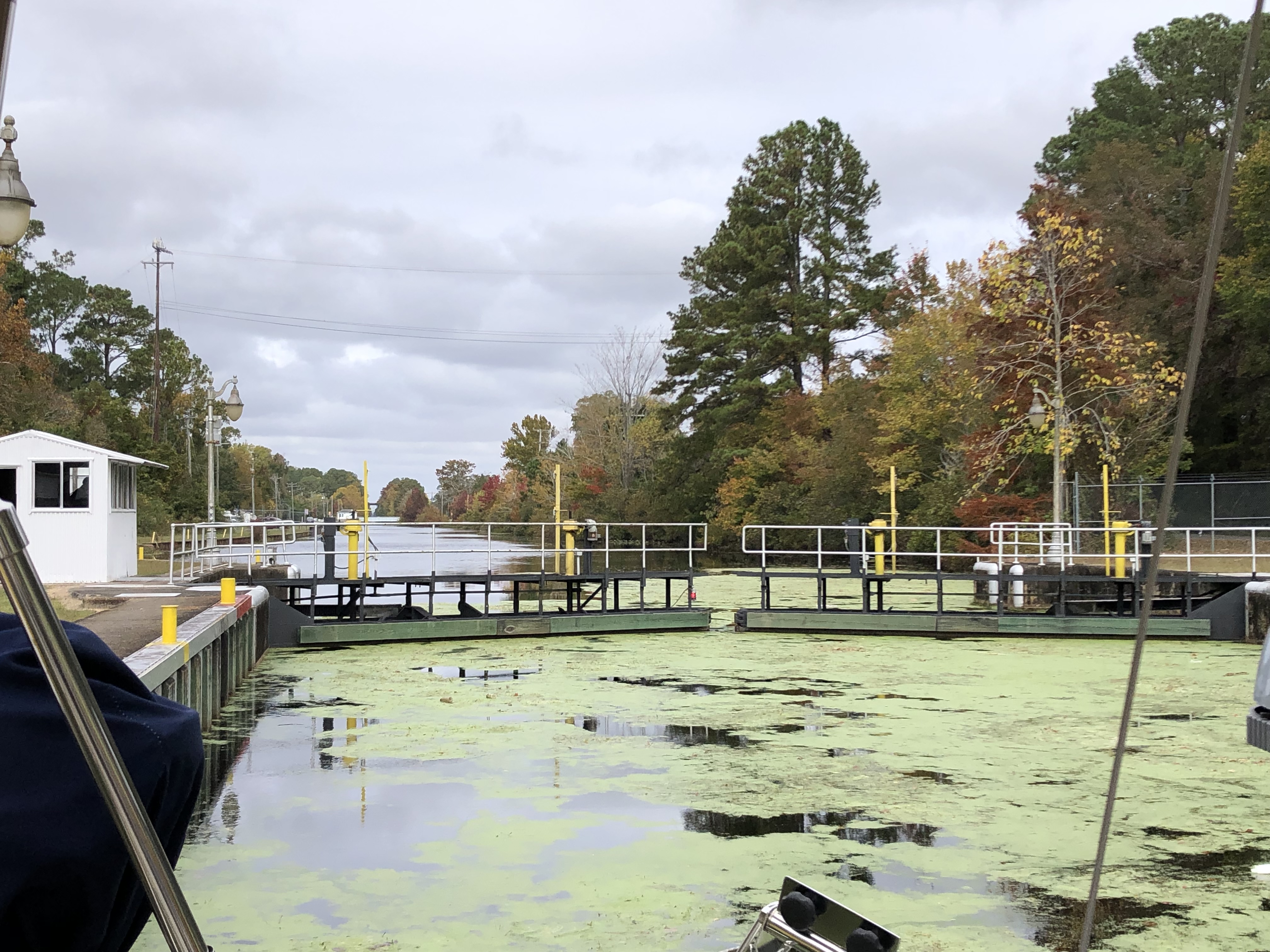 3C044233-3AD3-45BF-B6FC-34B60FDDDE3D