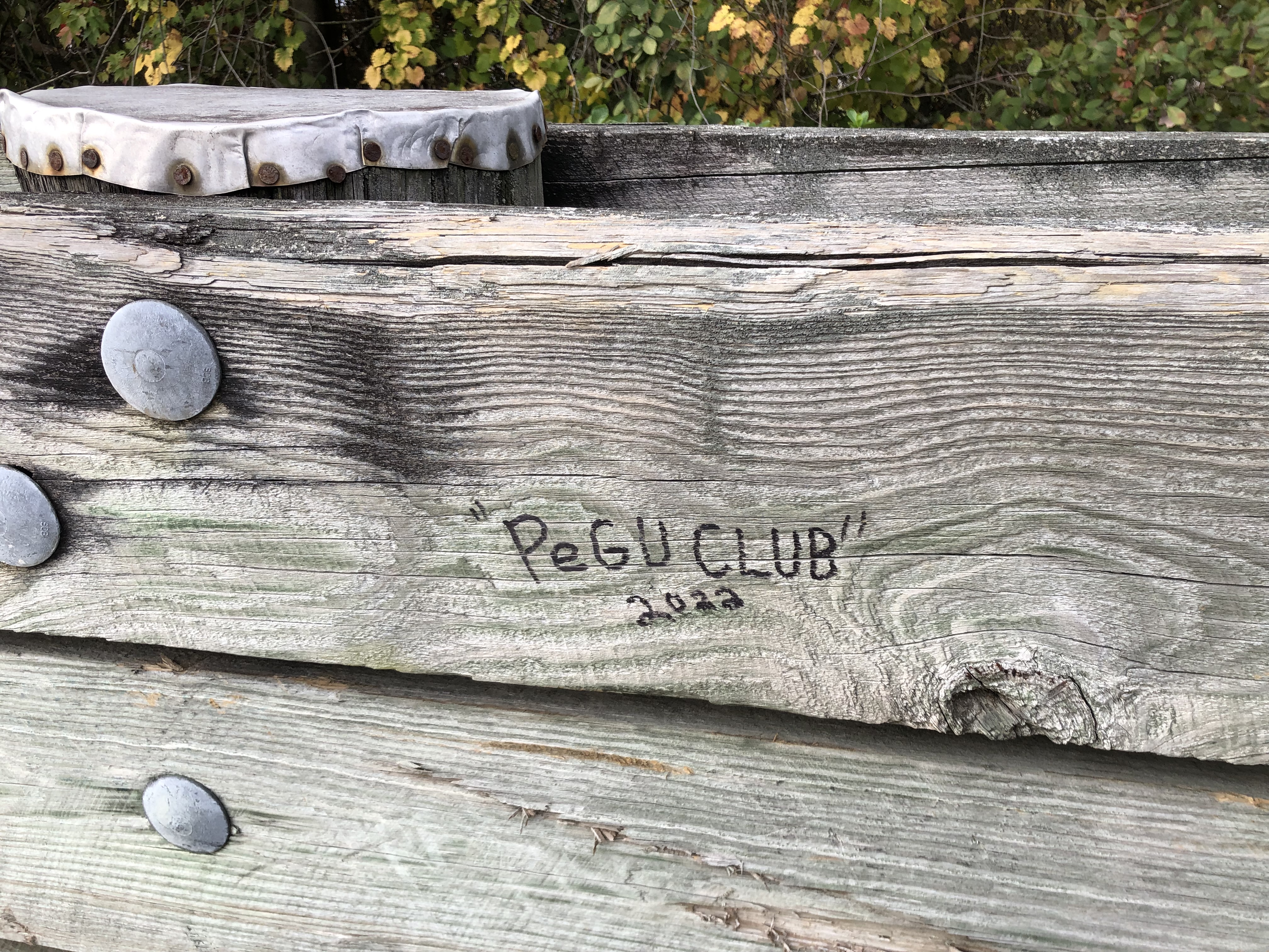 5BD6B07C-B90E-4BBF-BA05-96262BA5551C