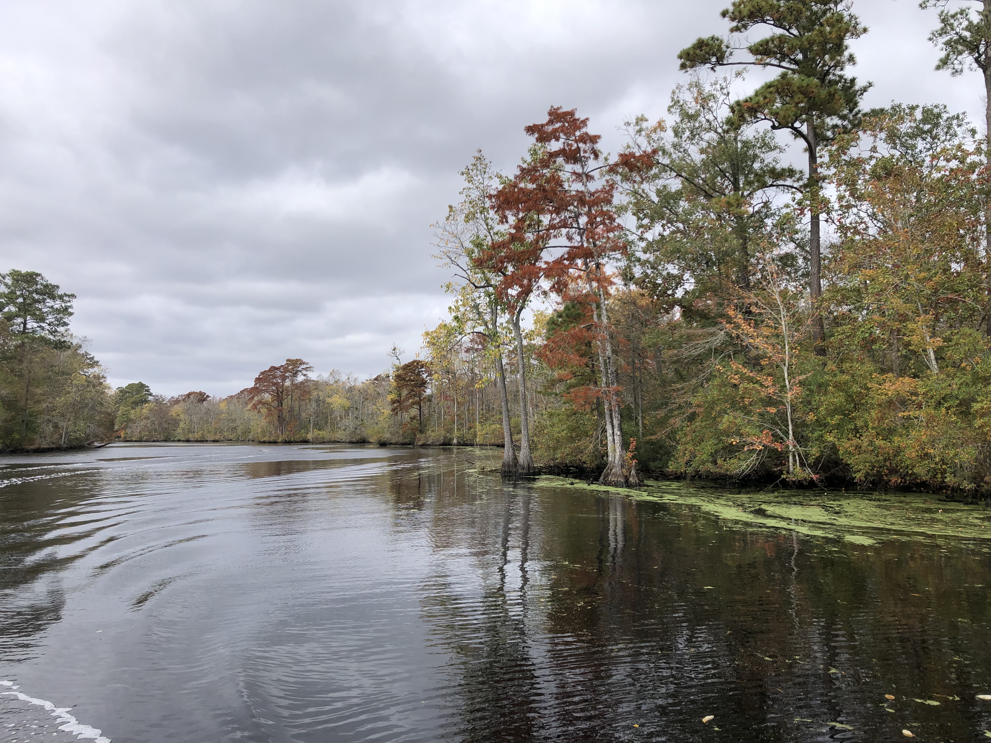 70EF2F71-EF9C-494C-8A40-52BC73756808